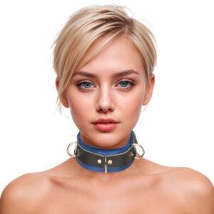 Strict Leather Deluxe Locking Collar - Blue and Black